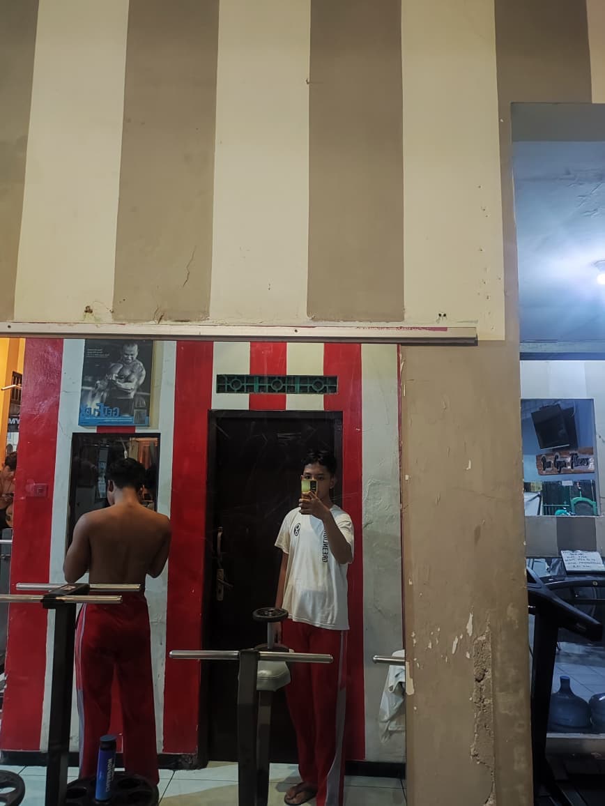 Mirror & Treadmill Room